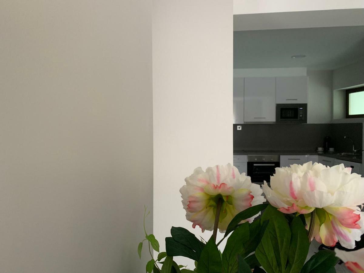 Apartamentos M.Bell León Extérieur photo